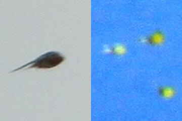 おたまじゃくし型UFO（左）とオレンジ発光３連隊UFO
