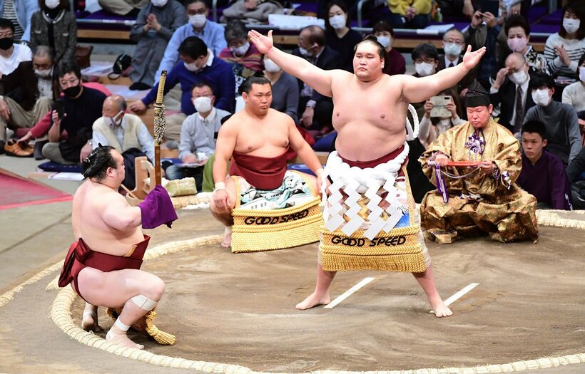  新化粧まわしで土俵入りする横綱照ノ富士(東スポWeb)