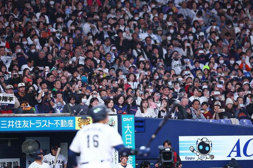 大谷翔平の打席を見る観客