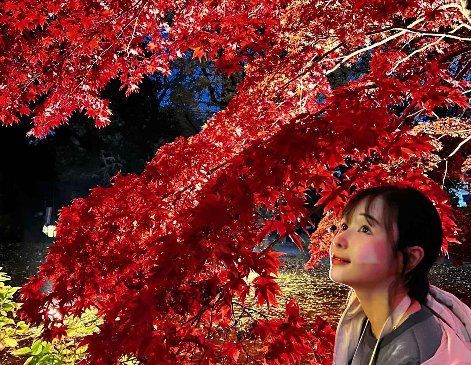 紅葉の季節ですね