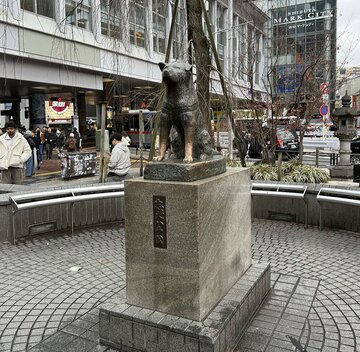ＪＲ渋谷駅前にある忠犬ハチ公像