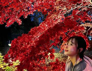 紅葉の季節ですね