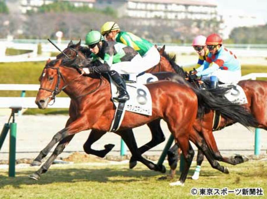 芝２０００メートルの阪神新馬戦を２番人気で制したキタノコマンドール（手前）