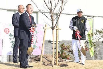 河津桜を植樹した阿部慎之助監督（右）