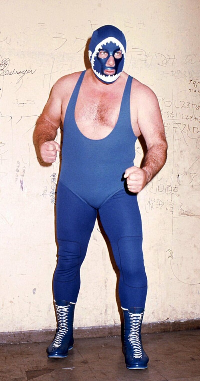  とてもジョーズには見えない（東スポWeb）