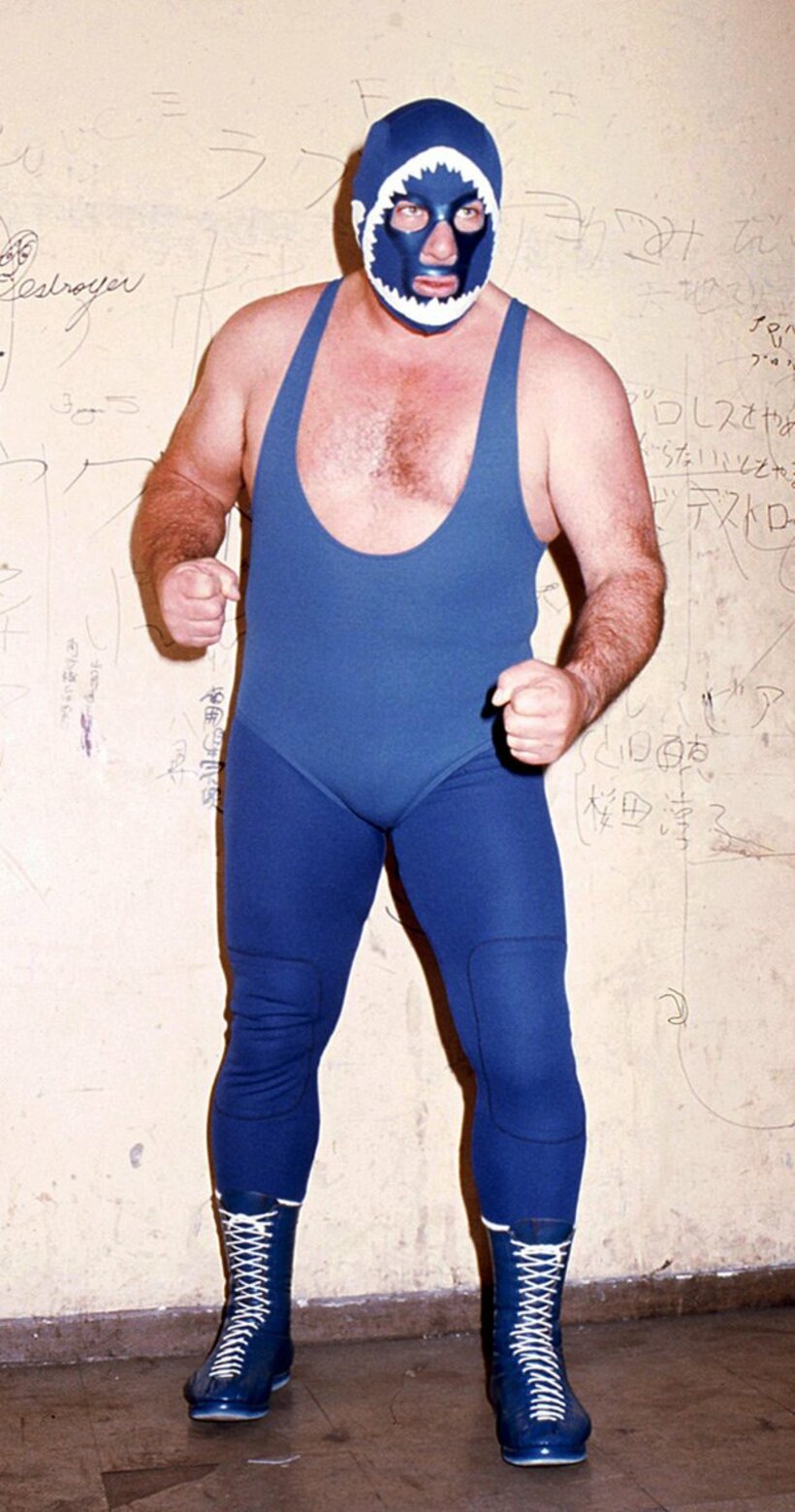  とてもジョーズには見えない（東スポWeb）