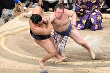 豊昇龍を押し出しで破る安青錦
