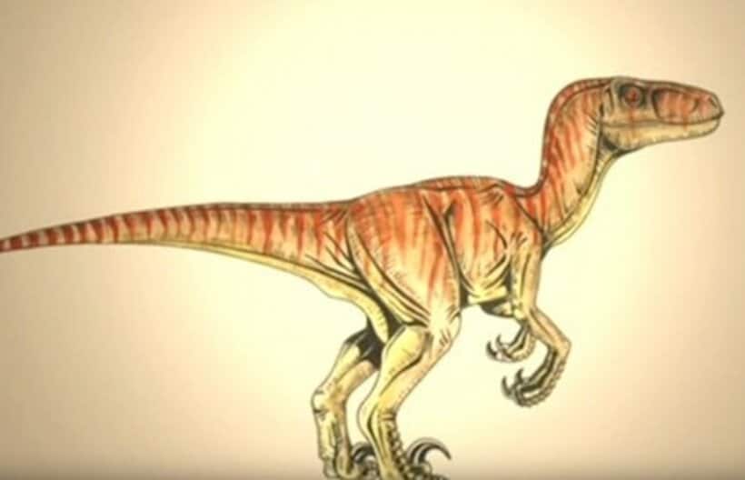 南米では恐竜の生き残りではないかと言われている未確認生物の目撃証言が報告されている（ユーチューブから）