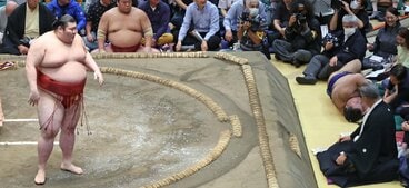 土俵下に転落した高安(右)