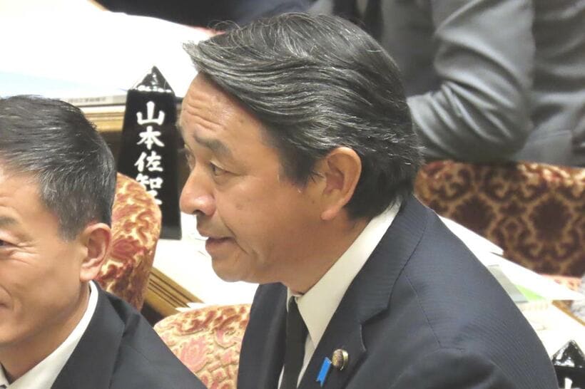 質問する榛葉賀津也幹事長