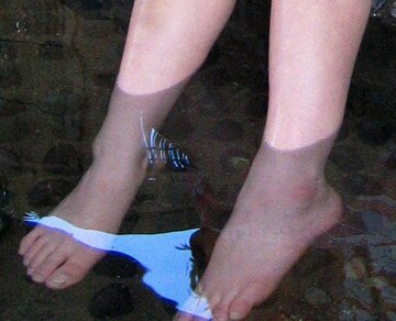  自宅でもバケツなどを使えば足湯を楽しめる（東スポWeb）
