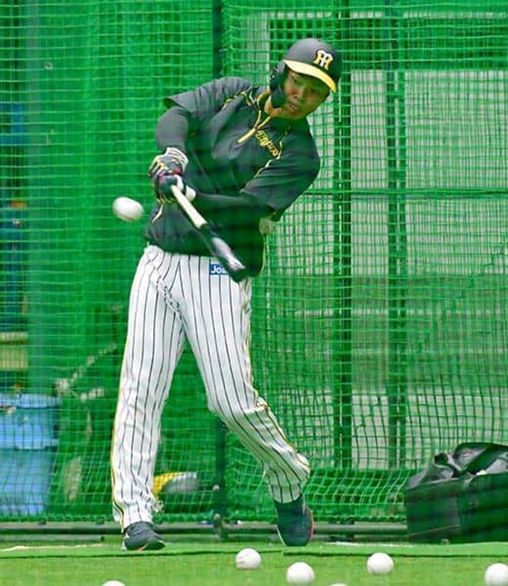写真:オープン戦快進撃の阪神〝影のMVP〟は背広組…助っ人全滅のDeNAとは雲泥の差 | 東スポWEB