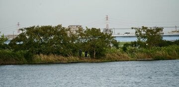 遺体が見つかった江戸川の現場