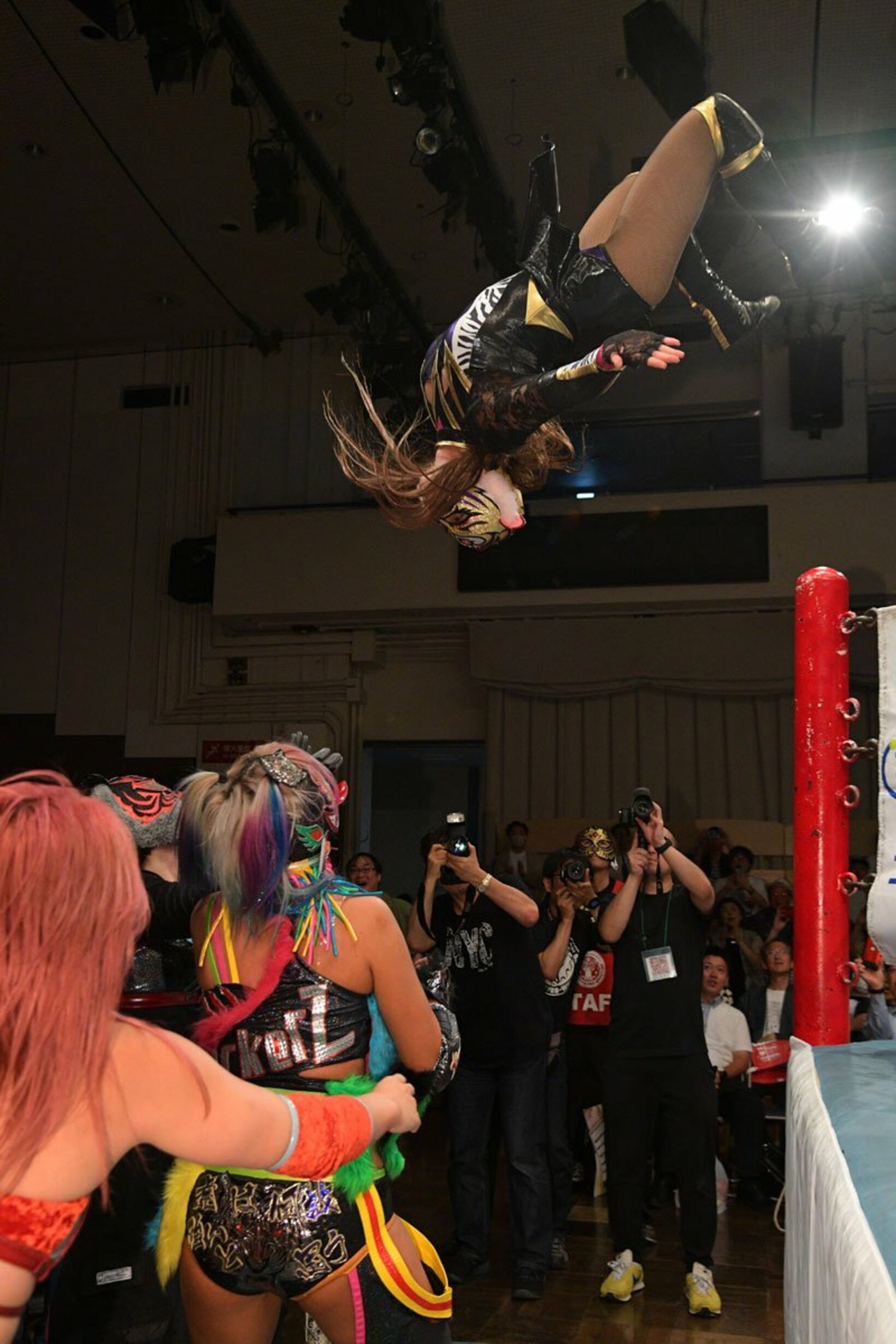 ダーク・ウナギに飛び込むタイガー・クイーン