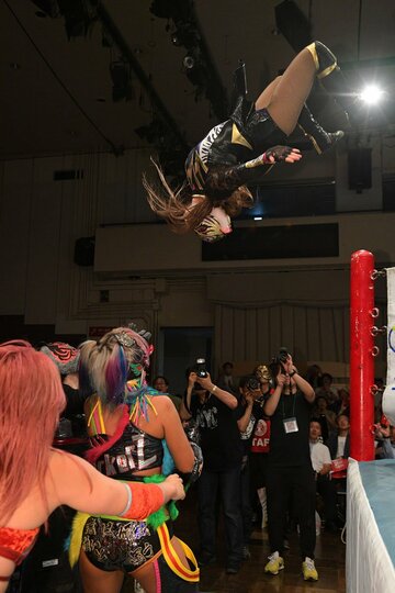 ダーク・ウナギに飛び込むタイガー・クイーン