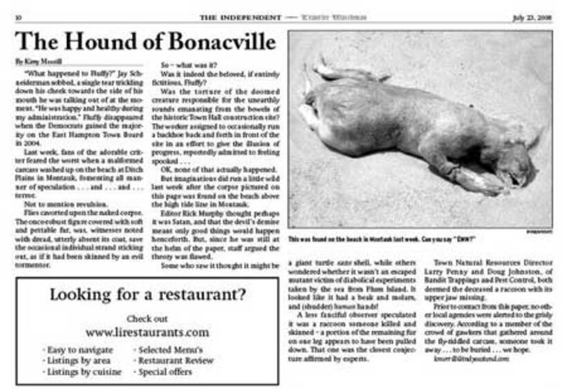 モントーク・モンスターを伝えた紙面