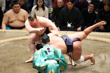 豊昇龍を上手投げで下した安青錦