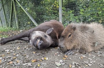 アルとジョンソン（ニューキー動物園のフェイスブックから）