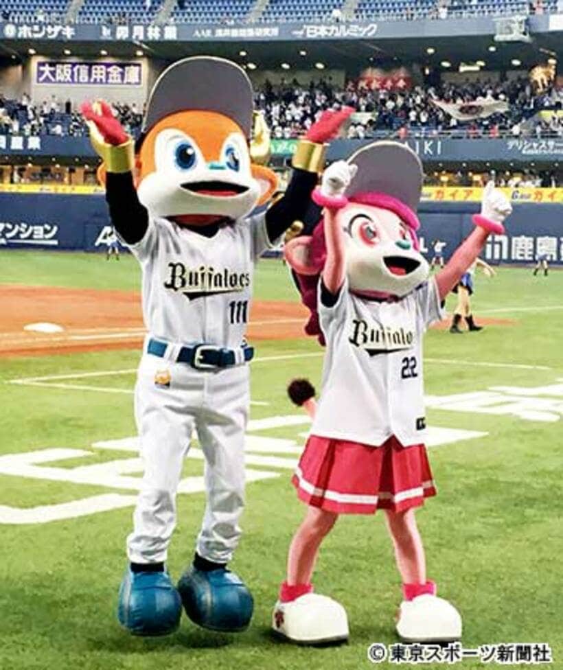サヨナラ勝ちを喜ぶバファローブル（左）とバファローベル