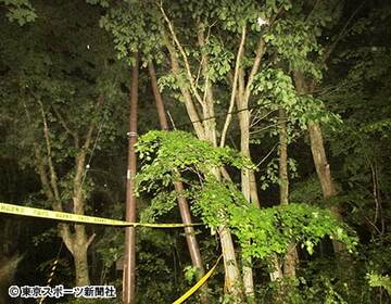 田野岡大和くんが置き去りにされたとされる林道