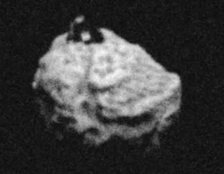 これが小惑星ベンヌ（インターネットから）