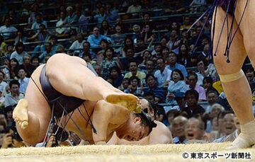 突き落としで土俵下に転落する稀勢の里