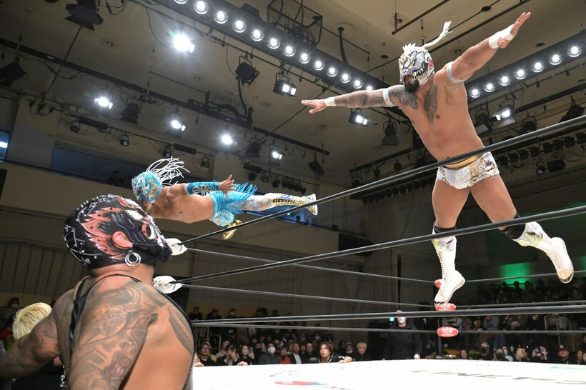 場外に飛び込むドラゴン・ベイン（右上）とアレハンドロ（左上）