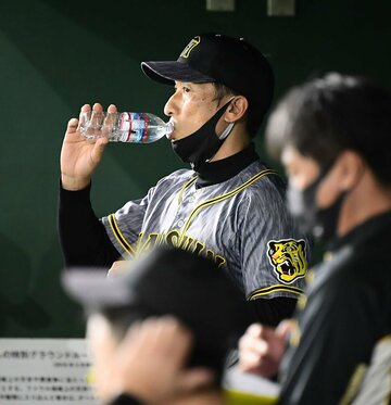  試合中、ベンチで水を飲む矢野監督