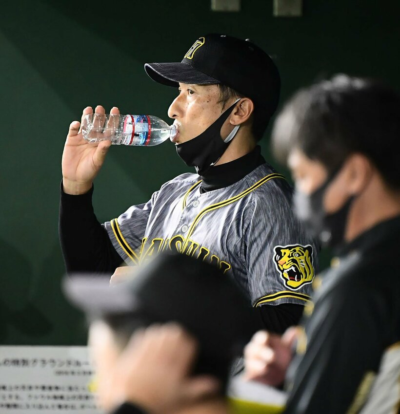  試合中、ベンチで水を飲む矢野監督
