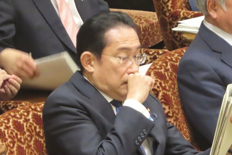 岸田首相が〝国民病〟花粉症対策に意欲　自民・山田太郎議員「撲滅となれば歴史に名前が残せる」 | 記事 | 東スポWEB