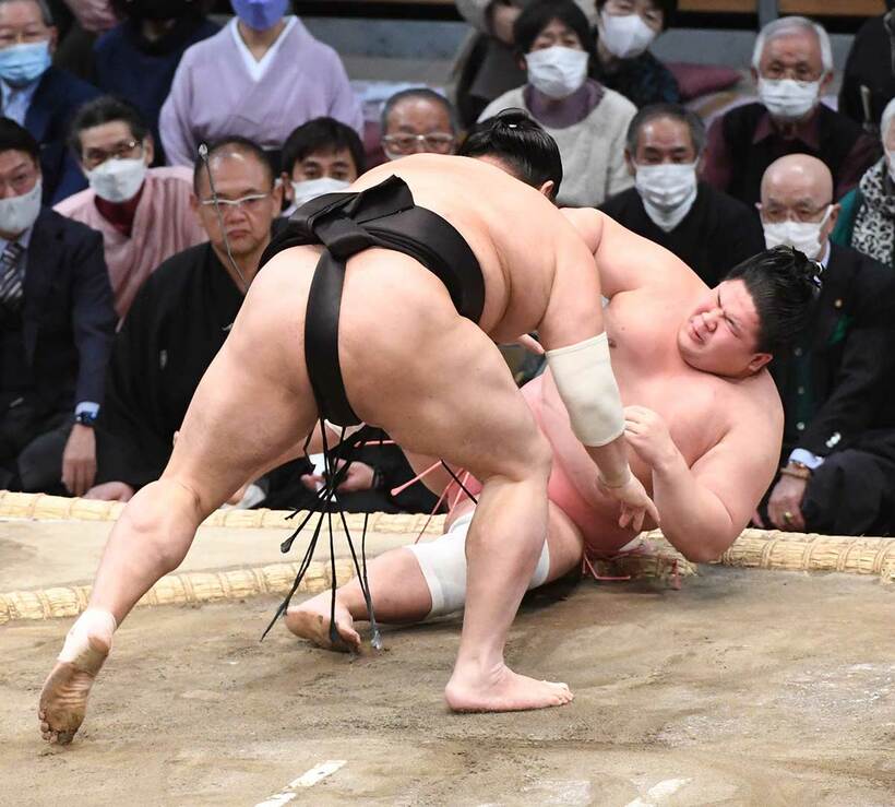  突き倒しで宇良を破った阿炎（東スポWeb）