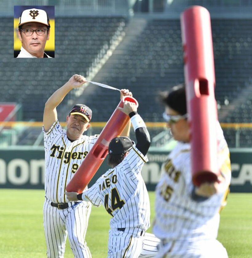  阪神・井上新ヘッド(左)は秋季練習でナインと一緒にトレーニング(顔写真は巨人・元木ヘッド)
