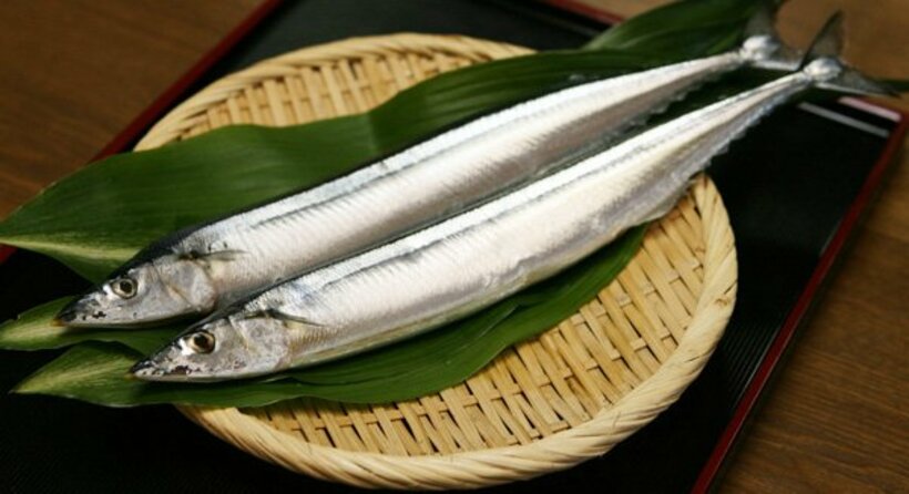  もはや高級魚？