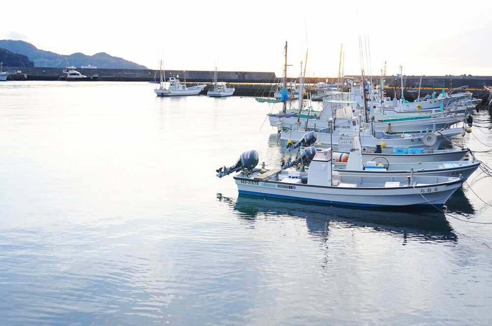 徒歩3分ほどにある漁港。波音を聞いているだけで癒やされます