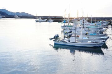 徒歩３分ほどにある漁港。波音を聞いているだけで癒やされます