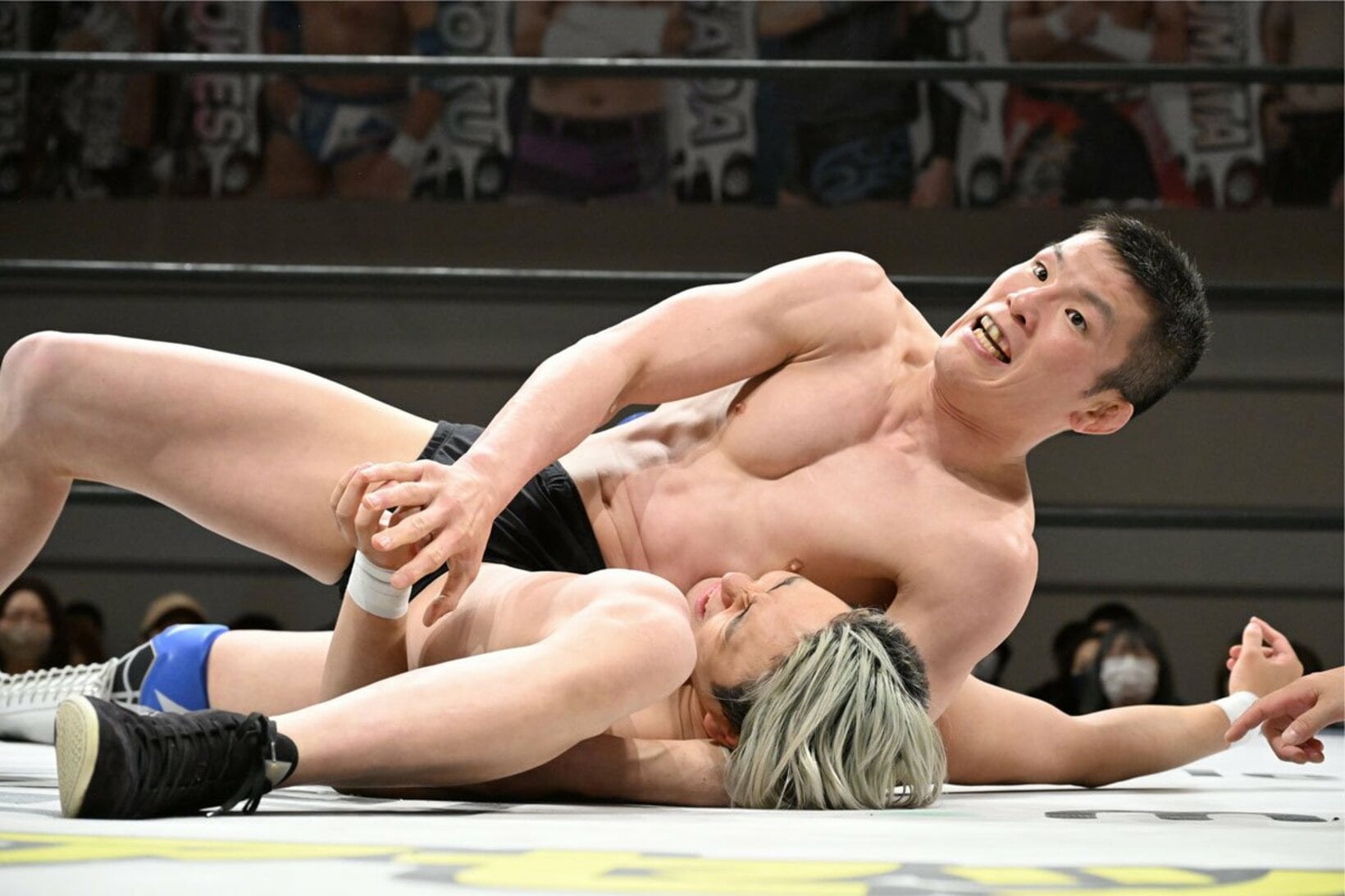 若手の瑠希也(下)をねちっこく攻める青木真也