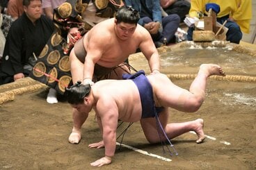 藤青雲(下)をはたき込んで勝利した伯乃富士