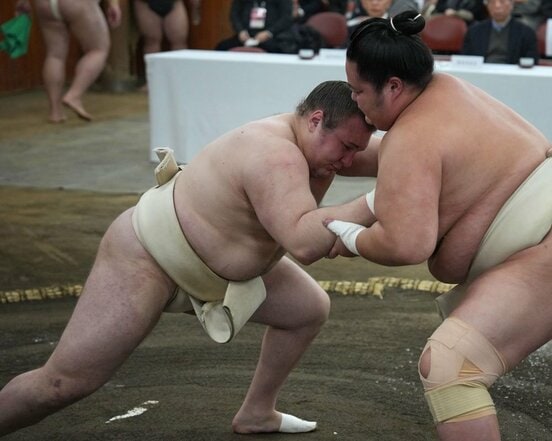 稽古総見で汗を流す安青錦（左）