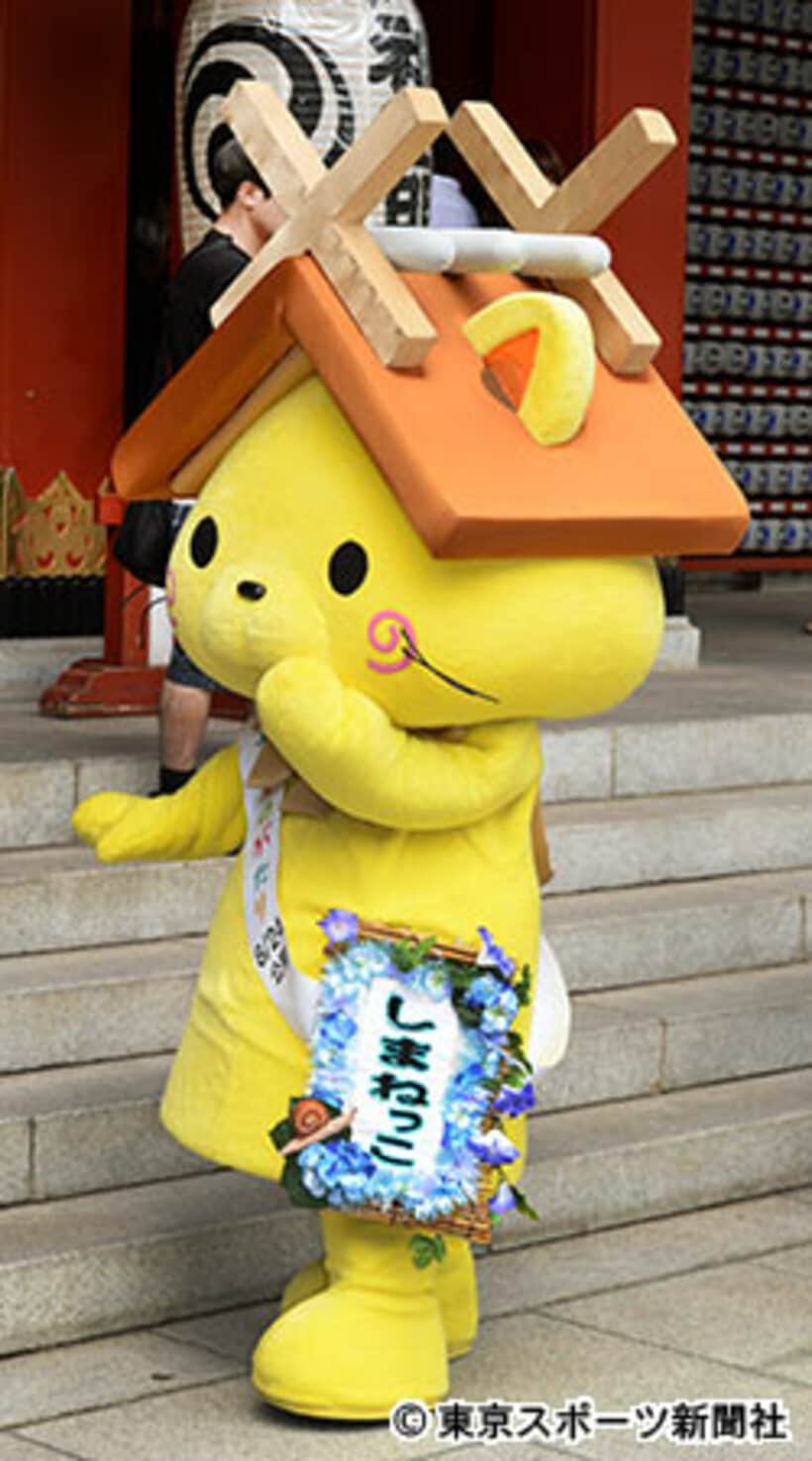 島根県のゆるキャラ、しまねっこ