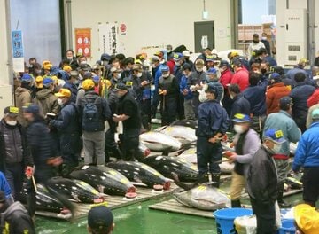  豊洲市場で行われたマグロの初競り