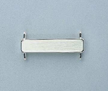 中居に授与される飾版（内閣府提供）