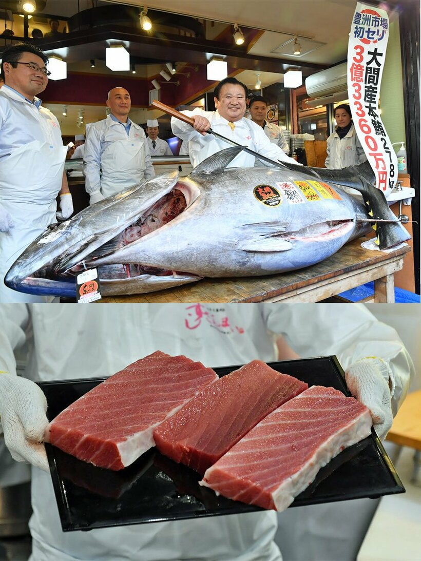  ２０１９年の初セリで３億３３６０万円の値がついたマグロ。下は解体後にカットしたもの