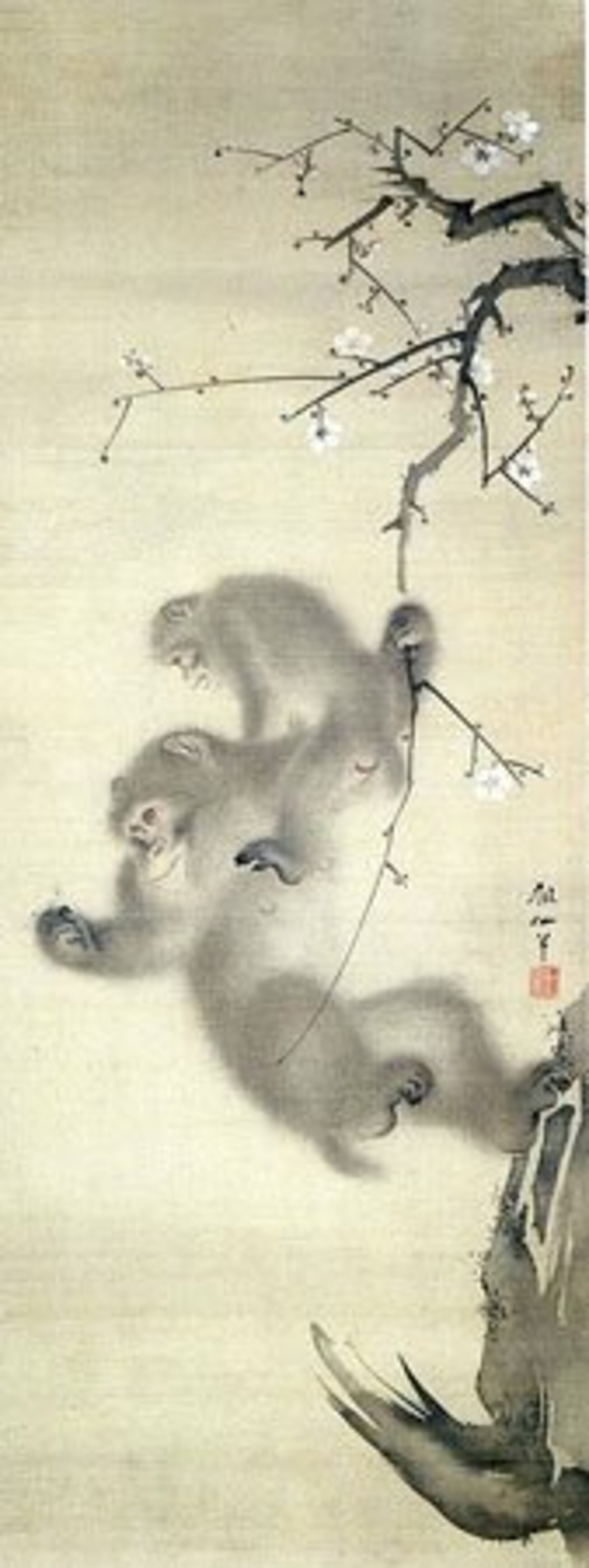 森狙仙「梅花猿猴図」