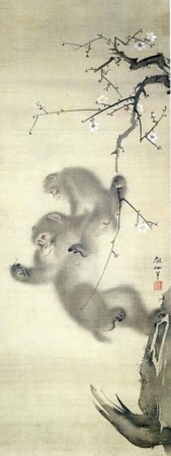 森狙仙「梅花猿猴図」