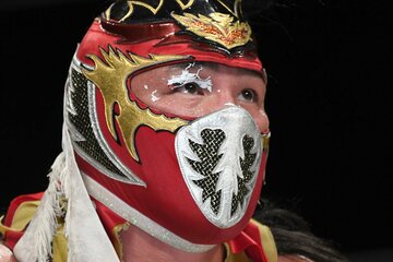 激闘でペイントがほとんど剥がれたハヤブサ