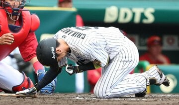 死球を受けうずくまる近本光司