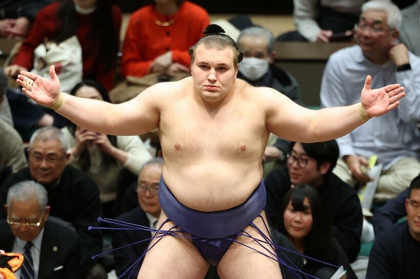 春場所で綱取りを目指す安青錦