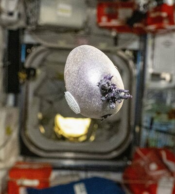 国際宇宙ステーションで撮影された奇妙な物体（ドナルド・ペティ氏のX@astro_pettitから）