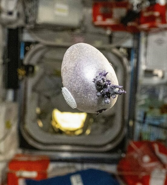 国際宇宙ステーションで撮影された奇妙な物体（ドナルド・ペティ氏のX@astro_pettitから）