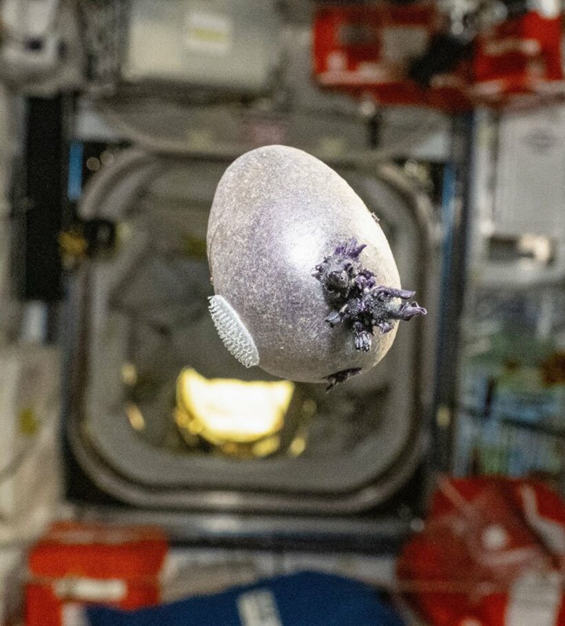 国際宇宙ステーションで撮影された奇妙な物体（ドナルド・ペティ氏のX@astro_pettitから）